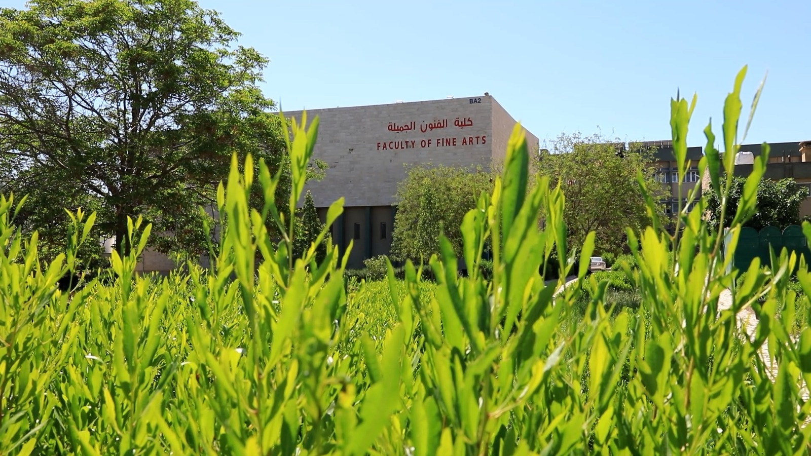 جامعة اليرموك
