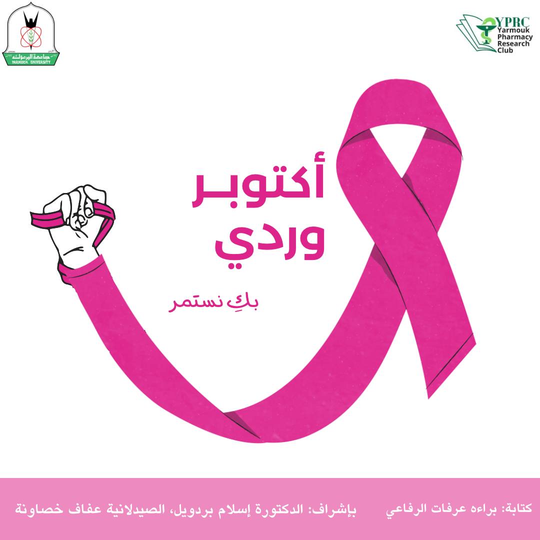 WhatsApp Image 2025 10 19 at 4.19.28 PM copy