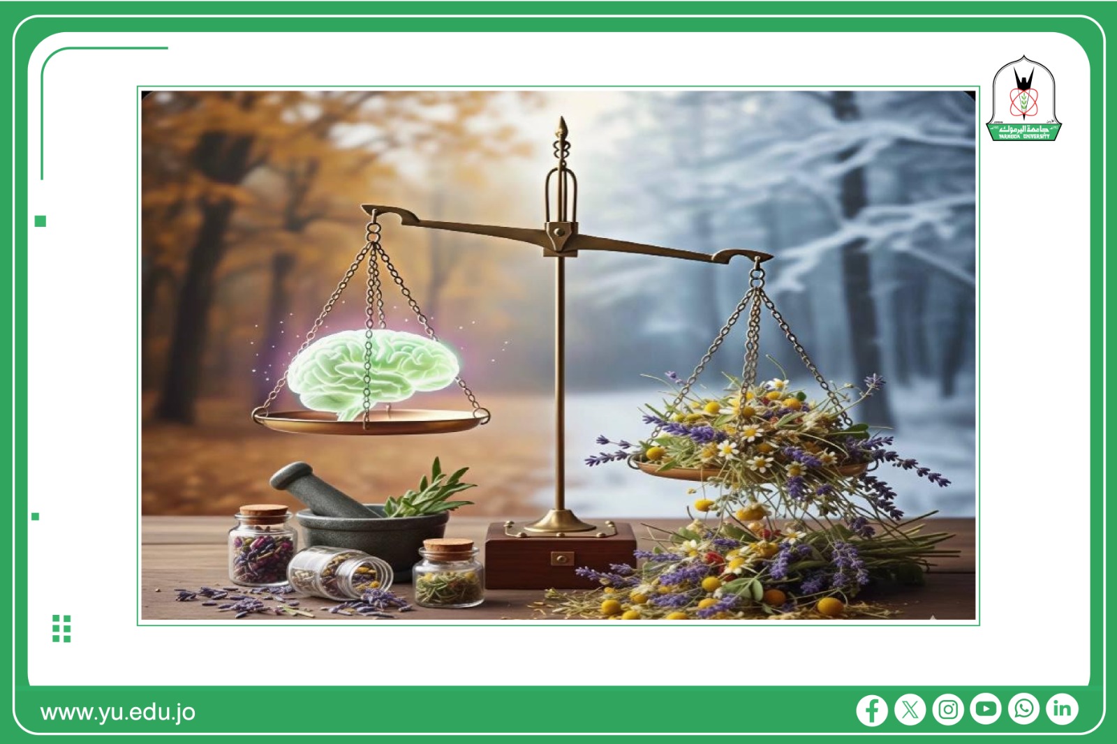 WhatsApp Image 2025 12 02 at 12.22.37 PM 1